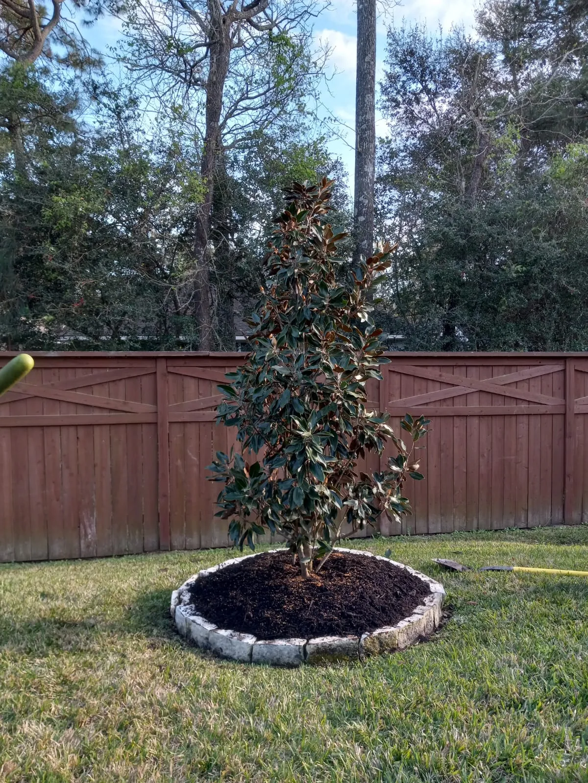 Real Stoneway stone border around a magnolia tree